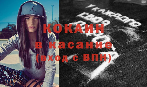 шишки Гусь-Хрустальный