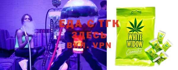шишки Гусь-Хрустальный