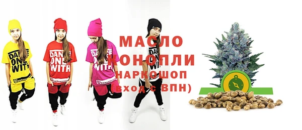 дмт Гусев
