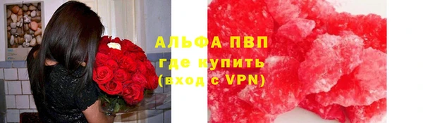 дмт Гусев
