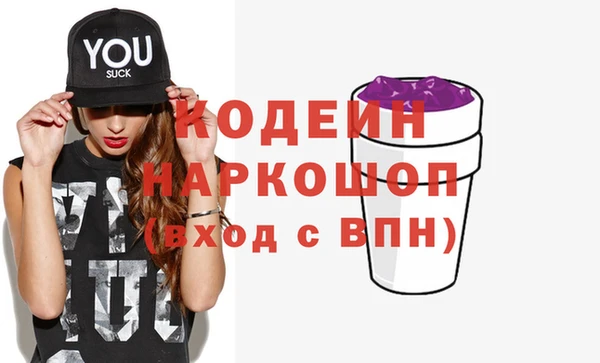 шишки Гусь-Хрустальный