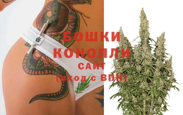 шишки Гусь-Хрустальный
