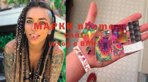 шишки Гусь-Хрустальный