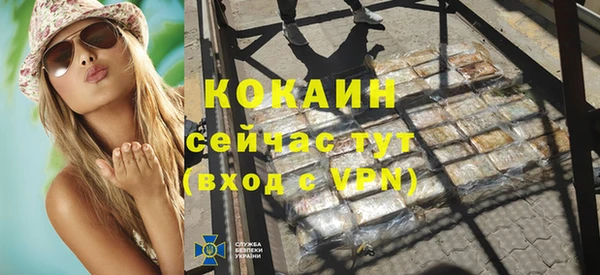 дмт Гусев