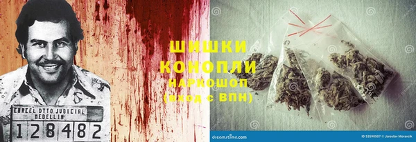 дмт Гусев