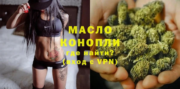 шишки Гусь-Хрустальный