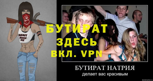 шишки Гусь-Хрустальный