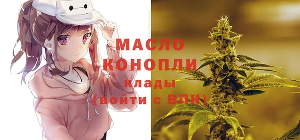 дмт Гусев