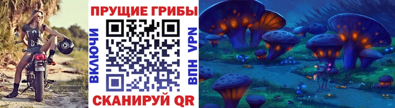 Псилоцибиновые грибы Psilocybe  где купить наркоту  МЕГА ТОР  Далматово 