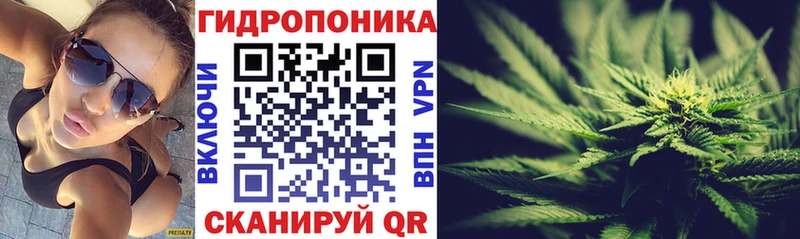 Конопля индика Далматово